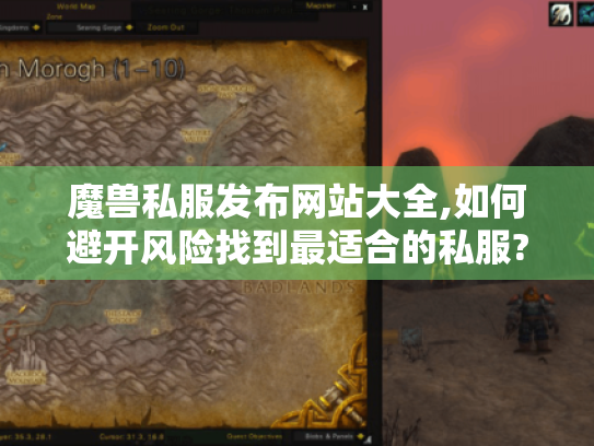 魔兽私服发布网站大全,如何避开风险找到最适合的私服?