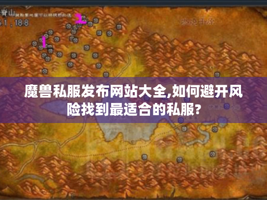 魔兽私服发布网站大全,如何避开风险找到最适合的私服?