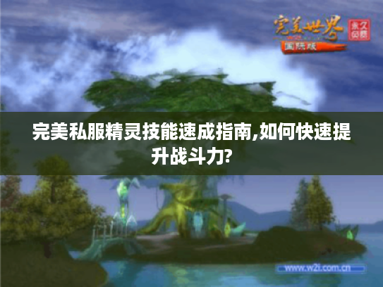 完美私服精灵技能速成指南,如何快速提升战斗力?