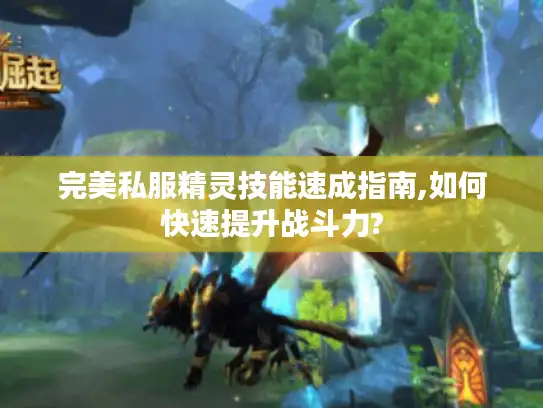 完美私服精灵技能速成指南,如何快速提升战斗力?