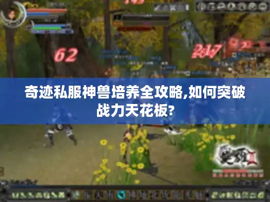 奇迹私服神兽培养全攻略,如何突破战力天花板?