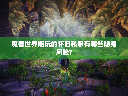 魔兽世界能玩的怀旧私服有哪些隐藏风险?