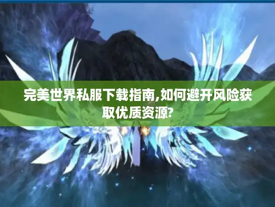 完美世界私服下载指南,如何避开风险获取优质资源?
