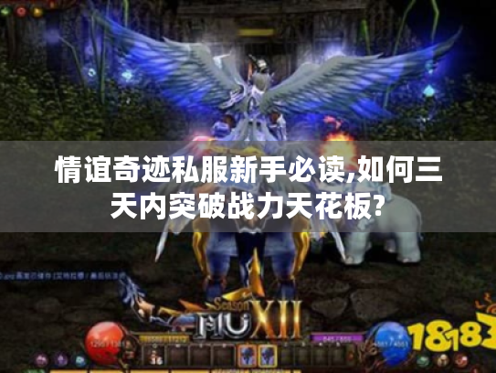 情谊奇迹私服新手必读,如何三天内突破战力天花板? 情谊奇迹私服新手必读,如何三天内突破战力天花板?