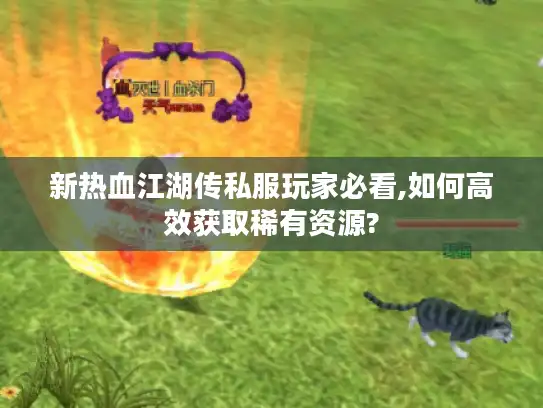新热血江湖传私服玩家必看,如何高效获取稀有资源? 新热血江湖传私服玩家必看,如何高效获取稀有资源?