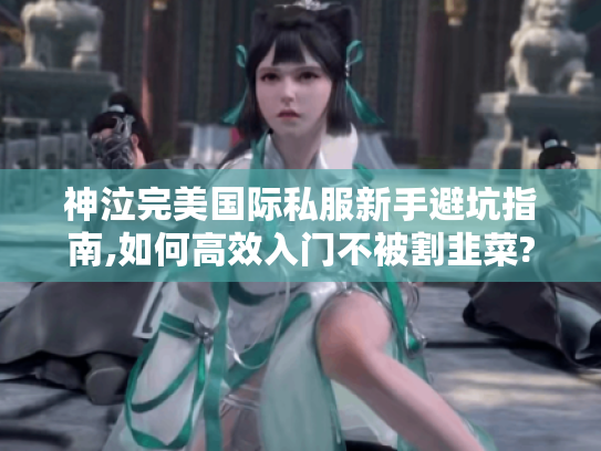 神泣完美国际私服新手避坑指南,如何高效入门不被割韭菜?