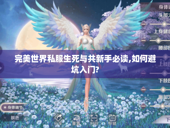 完美世界私服生死与共新手必读,如何避坑入门? 完美世界私服生死与共新手必读,如何避坑入门?
