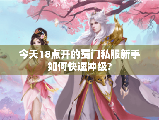 今天18点开的蜀门私服新手如何快速冲级? 今天18点开的蜀门私服新手如何快速冲级?