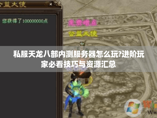 私服天龙八部内测服务器怎么玩?进阶玩家必看技巧与资源汇总 私服天龙八部内测服务器怎么玩?进阶玩家必看技巧与资源汇总