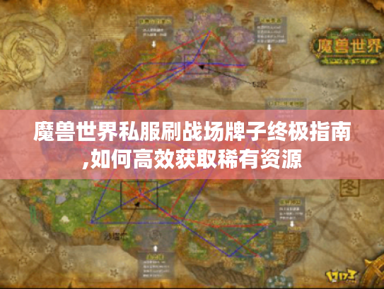 魔兽世界私服刷战场牌子终极指南,如何高效获取稀有资源