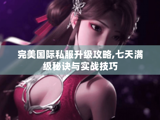 完美国际私服升级攻略,七天满级秘诀与实战技巧 完美国际私服升级攻略,七天满级秘诀与实战技巧