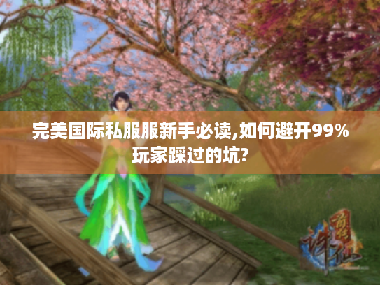 完美国际私服服新手必读,如何避开99%玩家踩过的坑?