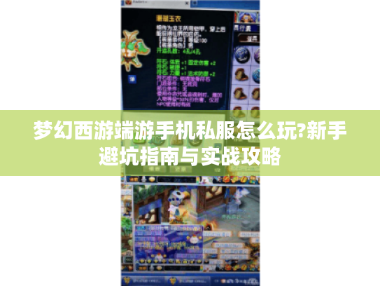 梦幻西游端游手机私服怎么玩?新手避坑指南与实战攻略 梦幻西游端游手机私服怎么玩?新手避坑指南与实战攻略