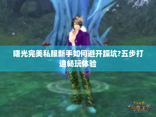 曙光完美私服新手如何避开踩坑?五步打造畅玩体验 曙光完美私服新手如何避开踩坑?五步打造畅玩体验