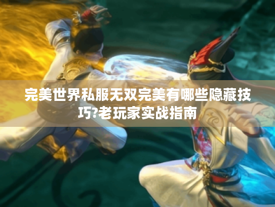 完美世界私服无双完美有哪些隐藏技巧?老玩家实战指南 完美世界私服无双完美有哪些隐藏技巧?老玩家实战指南