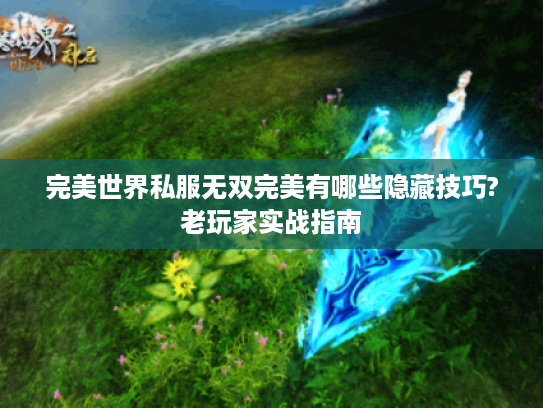 完美世界私服无双完美有哪些隐藏技巧?老玩家实战指南