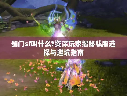 蜀门sf叫什么?资深玩家揭秘私服选择与避坑指南