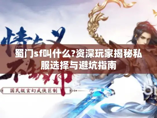蜀门sf叫什么?资深玩家揭秘私服选择与避坑指南