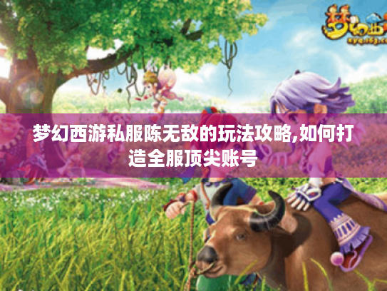 梦幻西游私服陈无敌的玩法攻略,如何打造全服顶尖账号 梦幻西游私服陈无敌的玩法攻略,如何打造全服顶尖账号