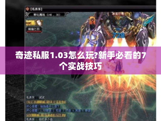 奇迹私服1.03怎么玩?新手必看的7个实战技巧 奇迹私服1.03怎么玩?新手必看的7个实战技巧