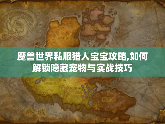 魔兽世界私服猎人宝宝攻略,如何解锁隐藏宠物与实战技巧