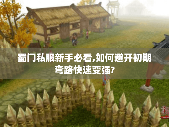 蜀门私服新手必看,如何避开初期弯路快速变强?