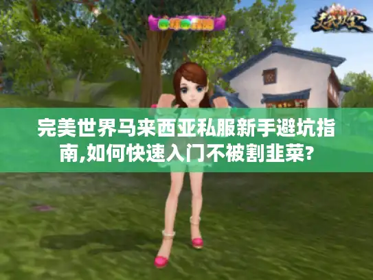 完美世界马来西亚私服新手避坑指南,如何快速入门不被割韭菜?