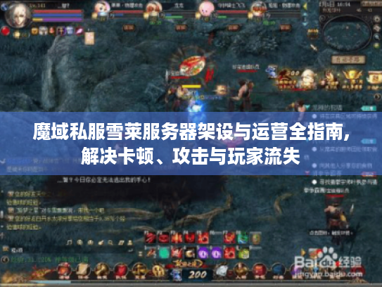 魔域私服雪莱服务器架设与运营全指南,解决卡顿、攻击与玩家流失 魔域私服雪莱服务器架设与运营全指南,解决卡顿、攻击与玩家流失