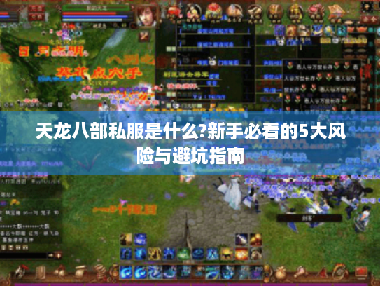 天龙八部私服是什么?新手必看的5大风险与避坑指南 天龙八部私服是什么?新手必看的5大风险与避坑指南
