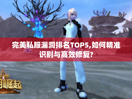 完美私服漏洞排名TOP5,如何精准识别与高效修复? 完美私服漏洞排名TOP5,如何精准识别与高效修复?
