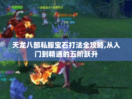 天龙八部私服宝石打法全攻略,从入门到精通的五阶跃升