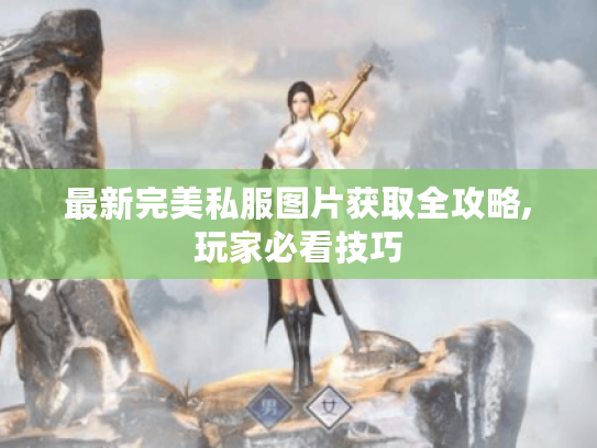最新完美私服图片获取全攻略,玩家必看技巧