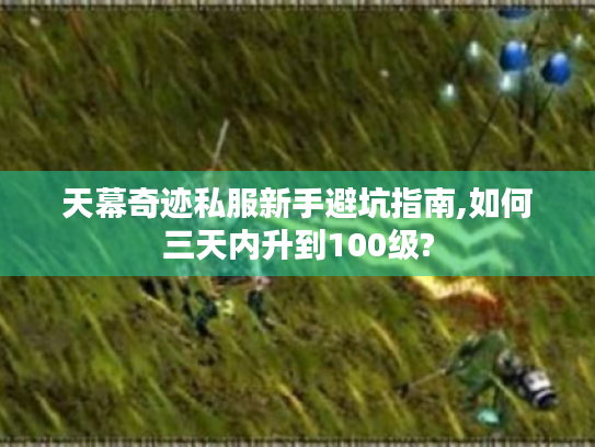 天幕奇迹私服新手避坑指南,如何三天内升到100级?