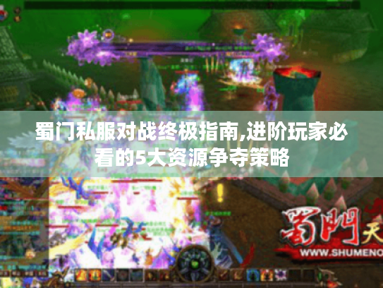 蜀门私服对战终极指南,进阶玩家必看的5大资源争夺策略 蜀门私服对战终极指南,进阶玩家必看的5大资源争夺策略