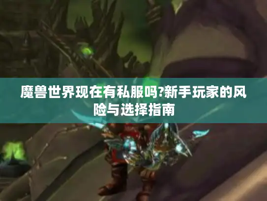 魔兽世界现在有私服吗?新手玩家的风险与选择指南