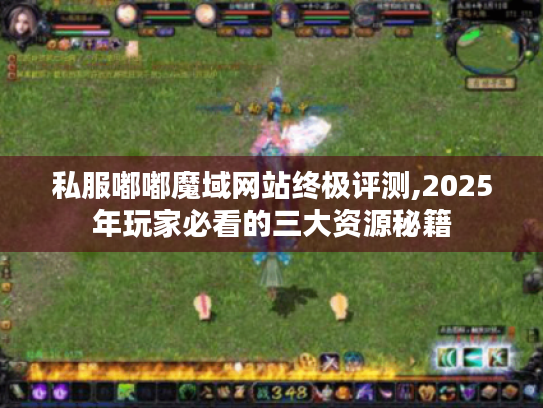 私服嘟嘟魔域网站终极评测,2025年玩家必看的三大资源秘籍 私服嘟嘟魔域网站终极评测,2025年玩家必看的三大资源秘籍