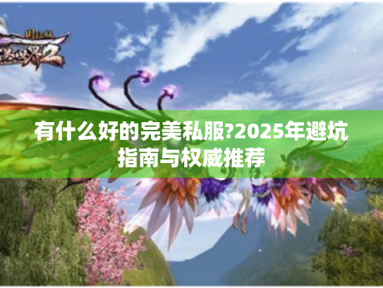 有什么好的完美私服?2025年避坑指南与权威推荐 有什么好的完美私服?2025年避坑指南与权威推荐