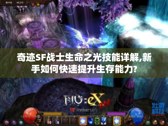 奇迹SF战士生命之光技能详解,新手如何快速提升生存能力? 奇迹SF战士生命之光技能详解,新手如何快速提升生存能力?