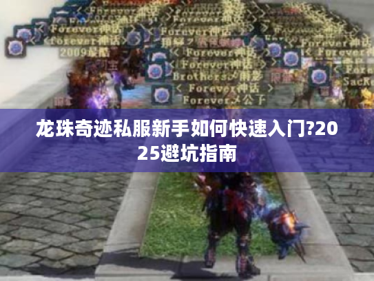 龙珠奇迹私服新手如何快速入门?2025避坑指南 龙珠奇迹私服新手如何快速入门?2025避坑指南