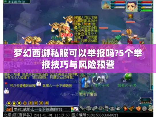 梦幻西游私服可以举报吗?5个举报技巧与风险预警
