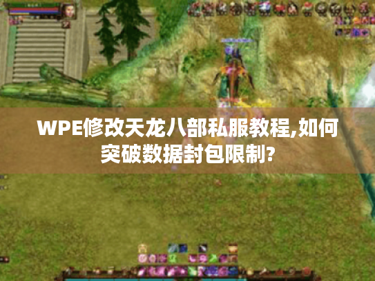 WPE修改天龙八部私服教程,如何突破数据封包限制?