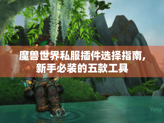 魔兽世界私服插件选择指南,新手必装的五款工具 魔兽世界私服插件选择指南,新手必装的五款工具