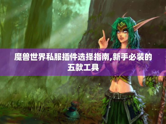 魔兽世界私服插件选择指南,新手必装的五款工具 魔兽世界私服插件选择指南,新手必装的五款工具