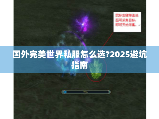 国外完美世界私服怎么选?2025避坑指南 国外完美世界私服怎么选?2025避坑指南