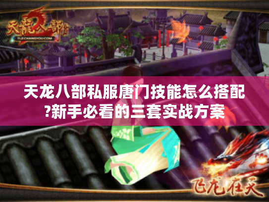 天龙八部私服唐门技能怎么搭配?新手必看的三套实战方案 天龙八部私服唐门技能怎么搭配?新手必看的三套实战方案