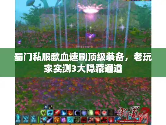 蜀门私服歃血速刷顶级装备，老玩家实测3大隐藏通道