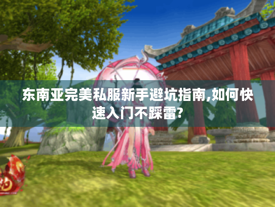 东南亚完美私服新手避坑指南,如何快速入门不踩雷? 东南亚完美私服新手避坑指南,如何快速入门不踩雷?