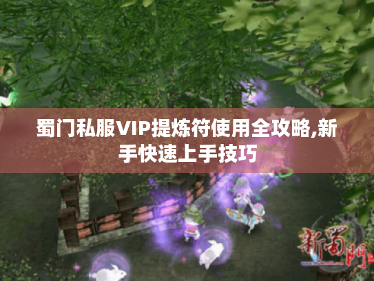 蜀门私服VIP提炼符使用全攻略,新手快速上手技巧 蜀门私服VIP提炼符使用全攻略,新手快速上手技巧