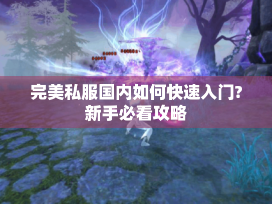 完美私服国内如何快速入门?新手必看攻略 完美私服国内如何快速入门?新手必看攻略