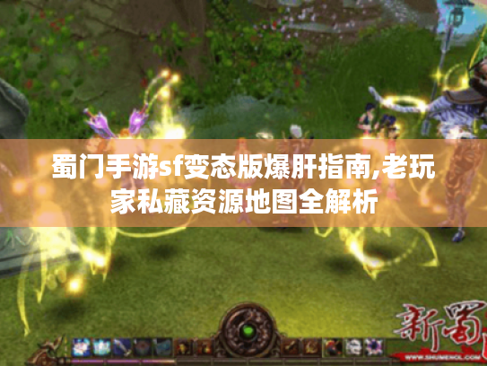 蜀门手游sf变态版爆肝指南,老玩家私藏资源地图全解析 蜀门手游sf变态版爆肝指南,老玩家私藏资源地图全解析